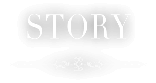 STORY